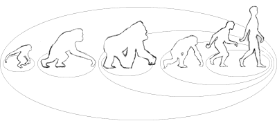 Greyscale Sketch of the Genetic Distance Grouping, walking primates