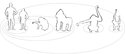 Greyscale Sketch of the Genetic Distance Grouping, alternate primates