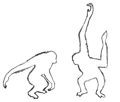 Greyscale Sketch of the two gibbons