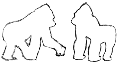 Greyscale Sketch of the two gorillas