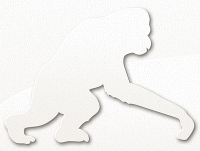 Color Comp of the orangutan